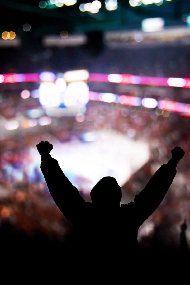 Silhouette eines jubelnden Fans in einer hell erleuchteten Arena